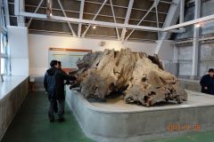 2013組合研修旅行富山2日目4-1625637699
