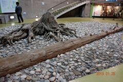 2013組合研修旅行富山2日目5-1625637711