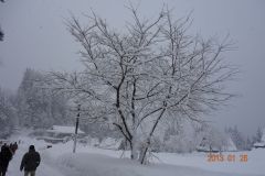 2013組合研修旅行富山2日目53-1625637695