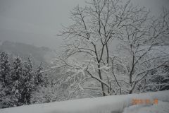2013組合研修旅行富山2日目9-1625637711