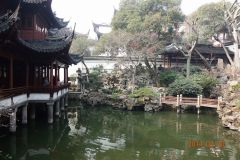 2014組合研修旅行上海2日目32_1625638356