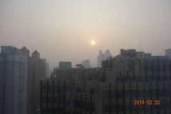 2014組合研修旅行上海2日目_1625638332
