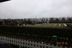2014組合研修旅行上海6-1625637429